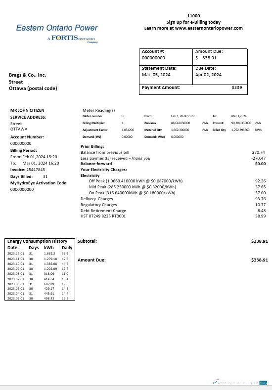 Canada Eastern Ontario Power business utility bill template in Word and pdf formats